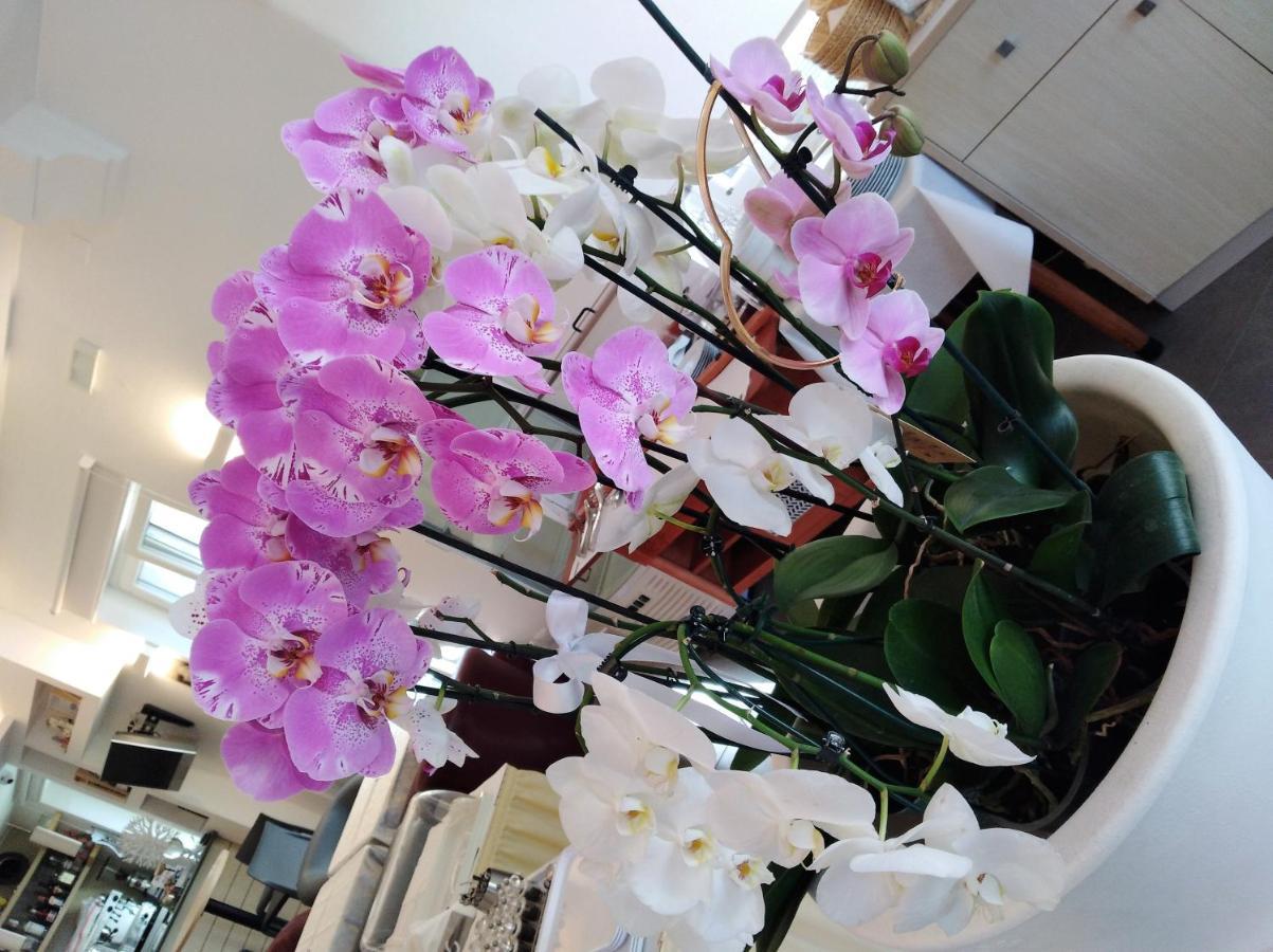 Hotel Orchidea 바르돌리노 외부 사진