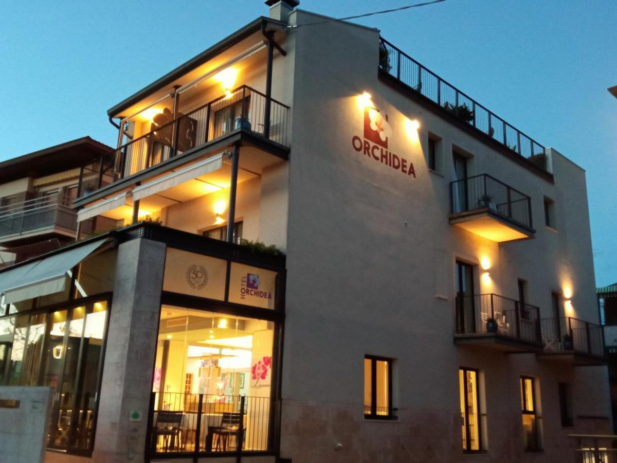 Hotel Orchidea 바르돌리노 외부 사진