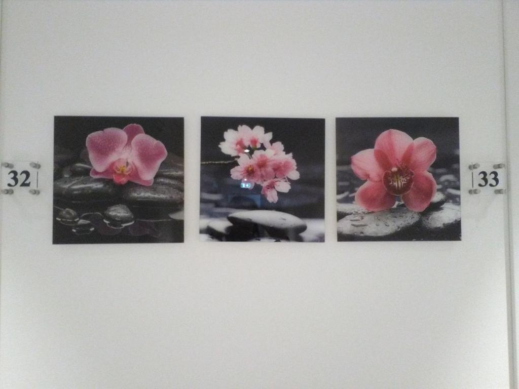 Hotel Orchidea 바르돌리노 외부 사진